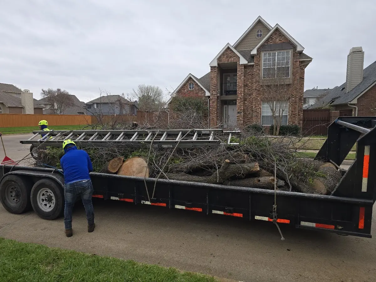 Expert Lot Clearing with proper safety equipment in Kyle